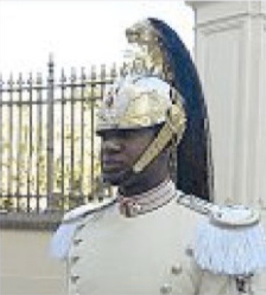 Un nero al Quirinale.jpg