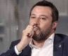Salvini col rosaio.jpg