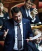 Salvini al Senato.jpg