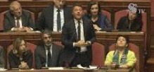 Renzi al Senato.jpg