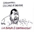 Salvini sul Fatto.jpeg