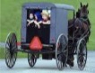 amish in transito.jpeg