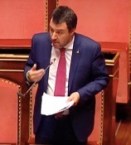 Salvini al Senato
